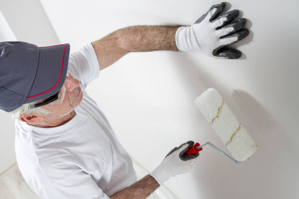 Best HVAC Mold Inspection and Cleaning  in West Bountiful, UT