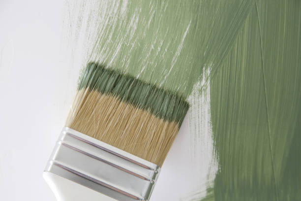 Trusted West Bountiful, UT Mold Removal Experts