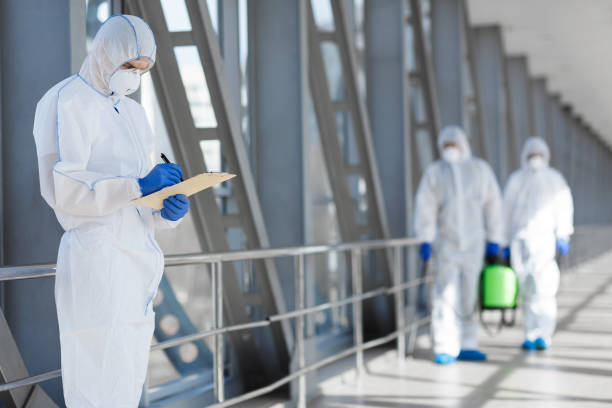 Mold Remediation for Vacation Homes in West Bountiful, UT