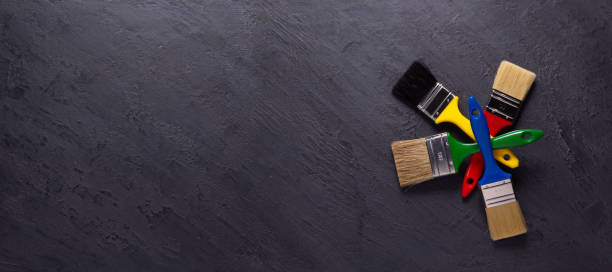 Best Black Mold Removal  in West Bountiful, UT