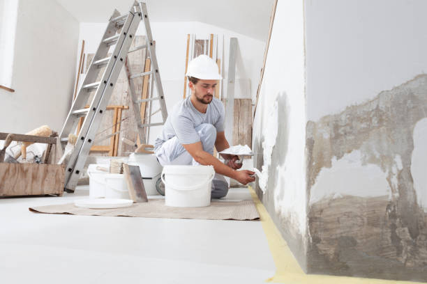 Best Post-Construction Mold Inspection  in West Bountiful, UT