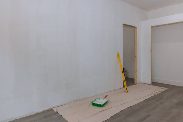 Best Mold Odor Removal Services  in West Bountiful, UT