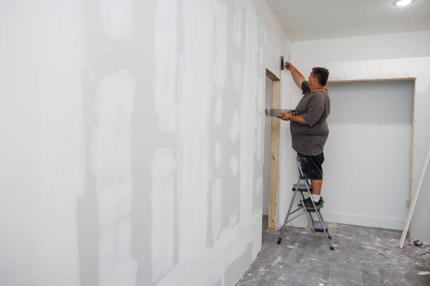 Best Basement Mold Removal  in West Bountiful, UT