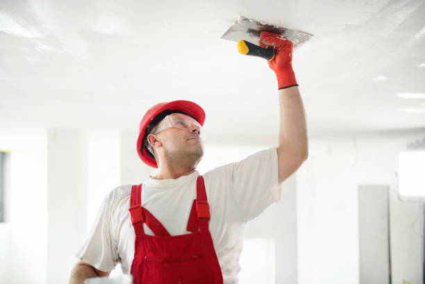 Best Airborne Mold Testing  in West Bountiful, UT