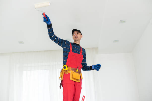  West Bountiful, UT Mold Removal Pros