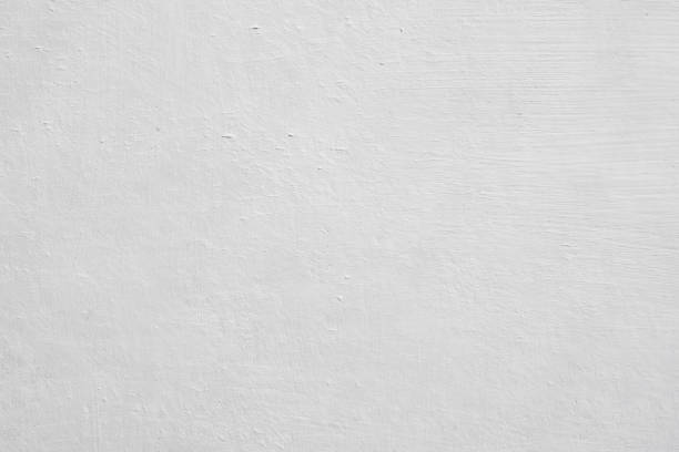 Best Mold Remediation for Rental Properties  in West Bountiful, UT