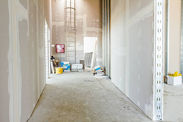 Best Mold-Related Health Consultation  in West Bountiful, UT