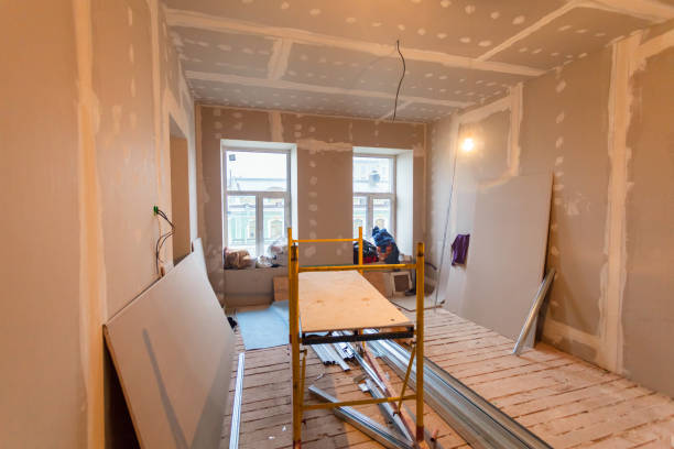 Best Mold Damage Restoration  in West Bountiful, UT