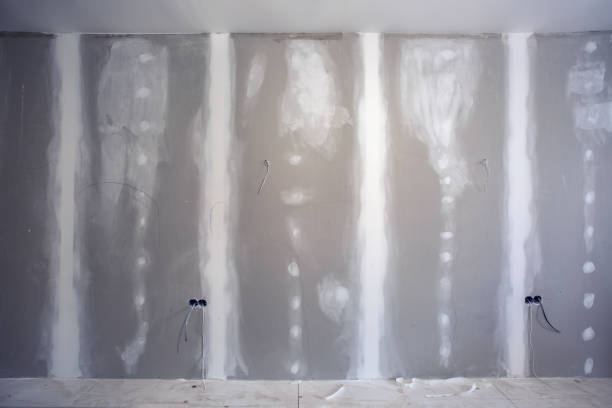 Best Mold Remediation for Vacation Homes  in West Bountiful, UT